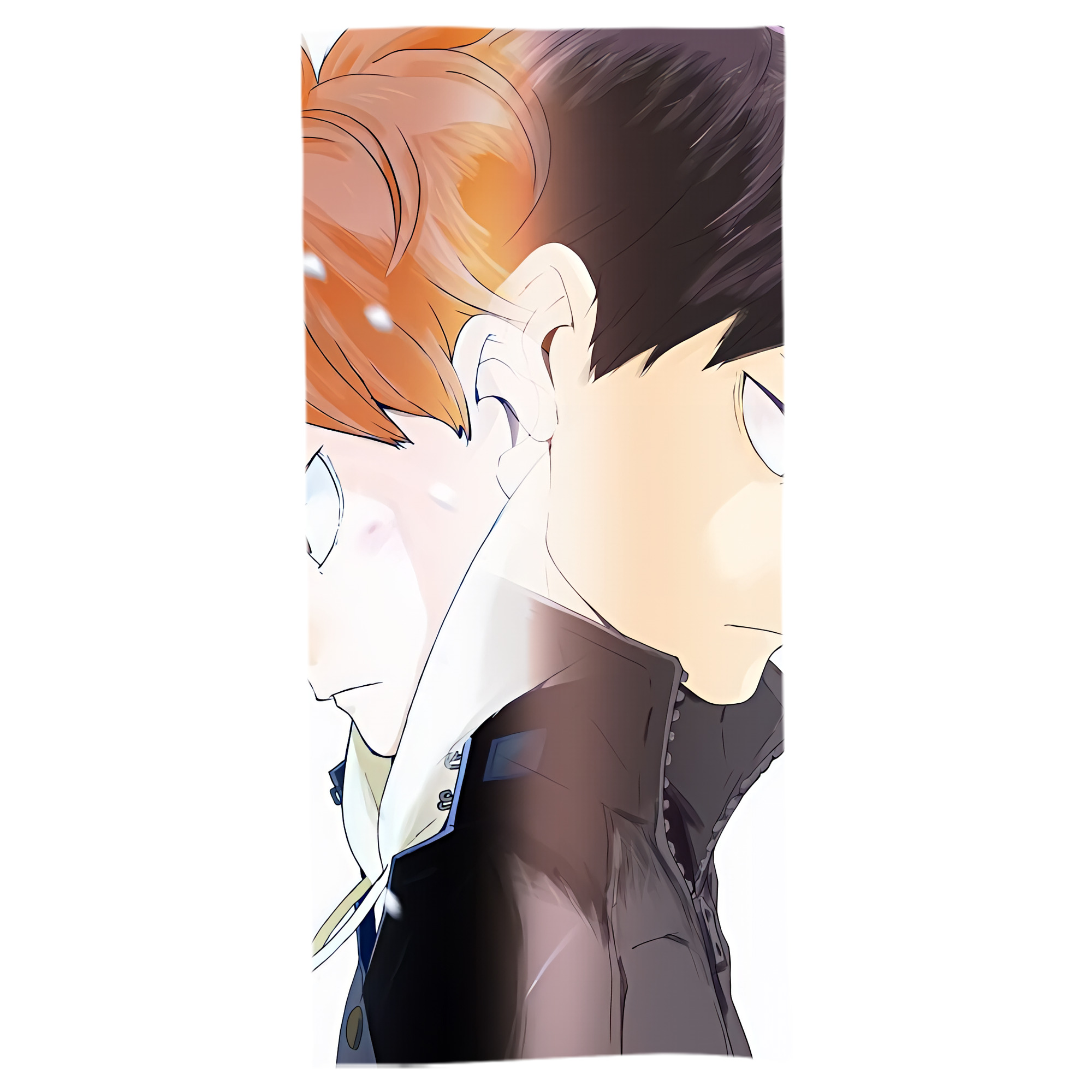 （画像用） ハイキュー!! Haikyu!! 大判バスタオル 70×140cm 吸水速乾 柔らかい肌触り