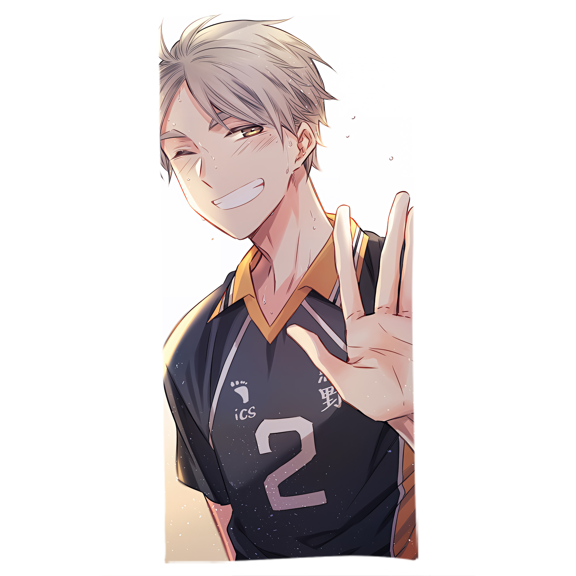 （画像用） ハイキュー!! Haikyu!! 大判バスタオル 70×140cm 吸水速乾 柔らかい肌触り