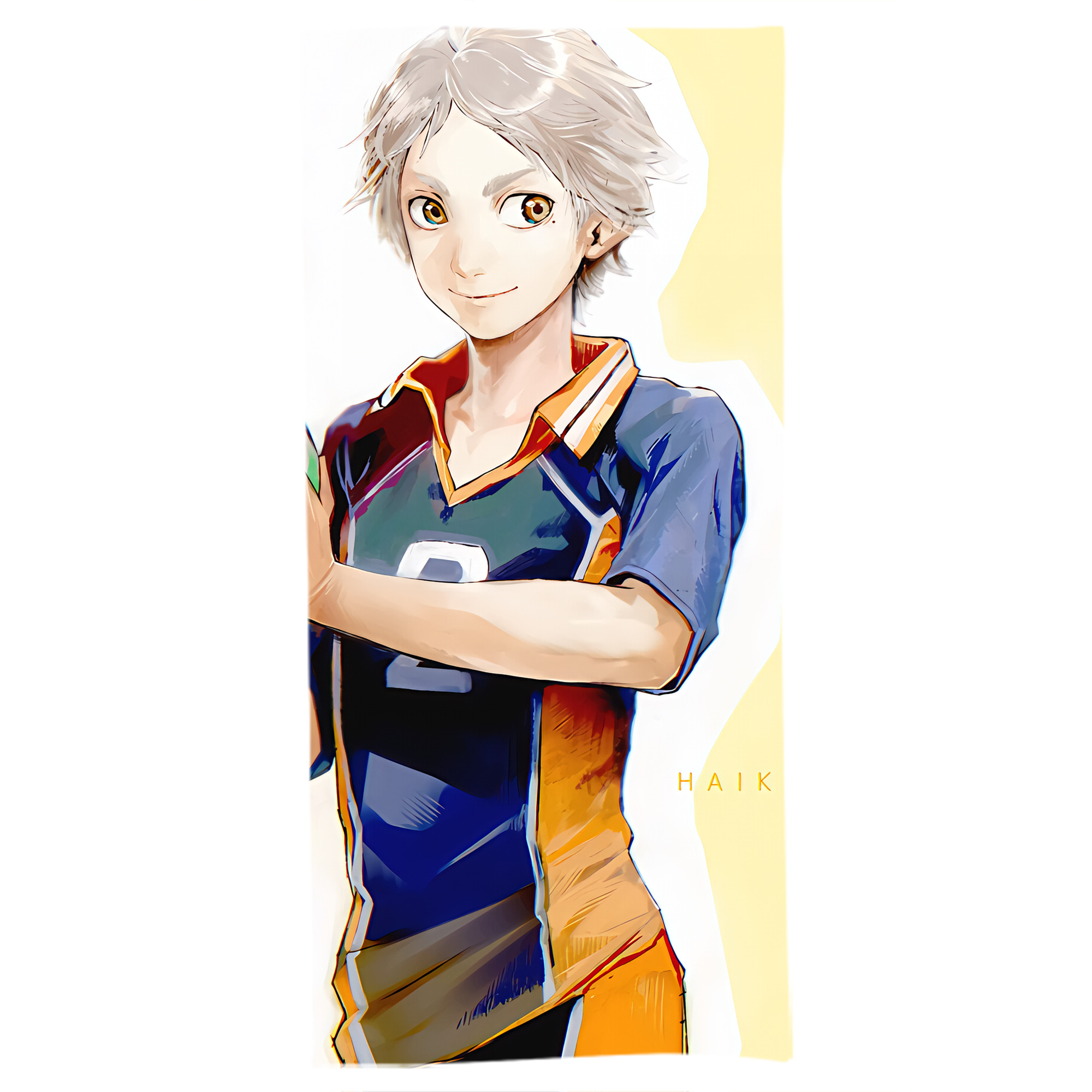 （画像用） ハイキュー!! Haikyu!! 大判バスタオル 70×140cm 吸水速乾 柔らかい肌触り