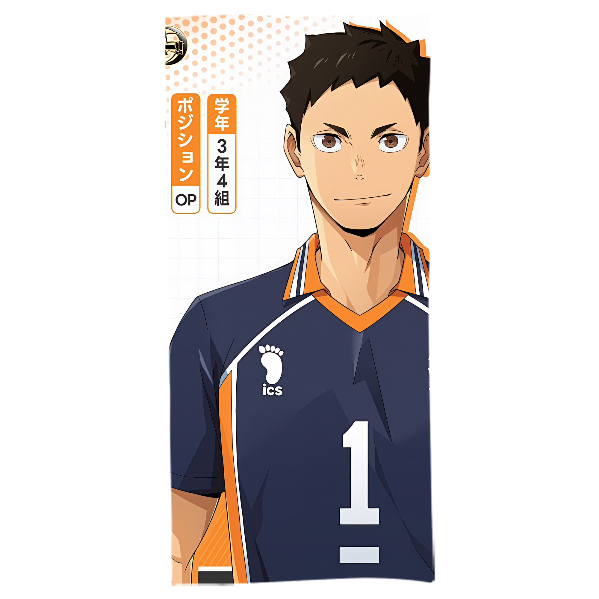 （画像用） ハイキュー!! Haikyu!! 大判バスタオル 70×140cm 吸水速乾 柔らかい肌触り