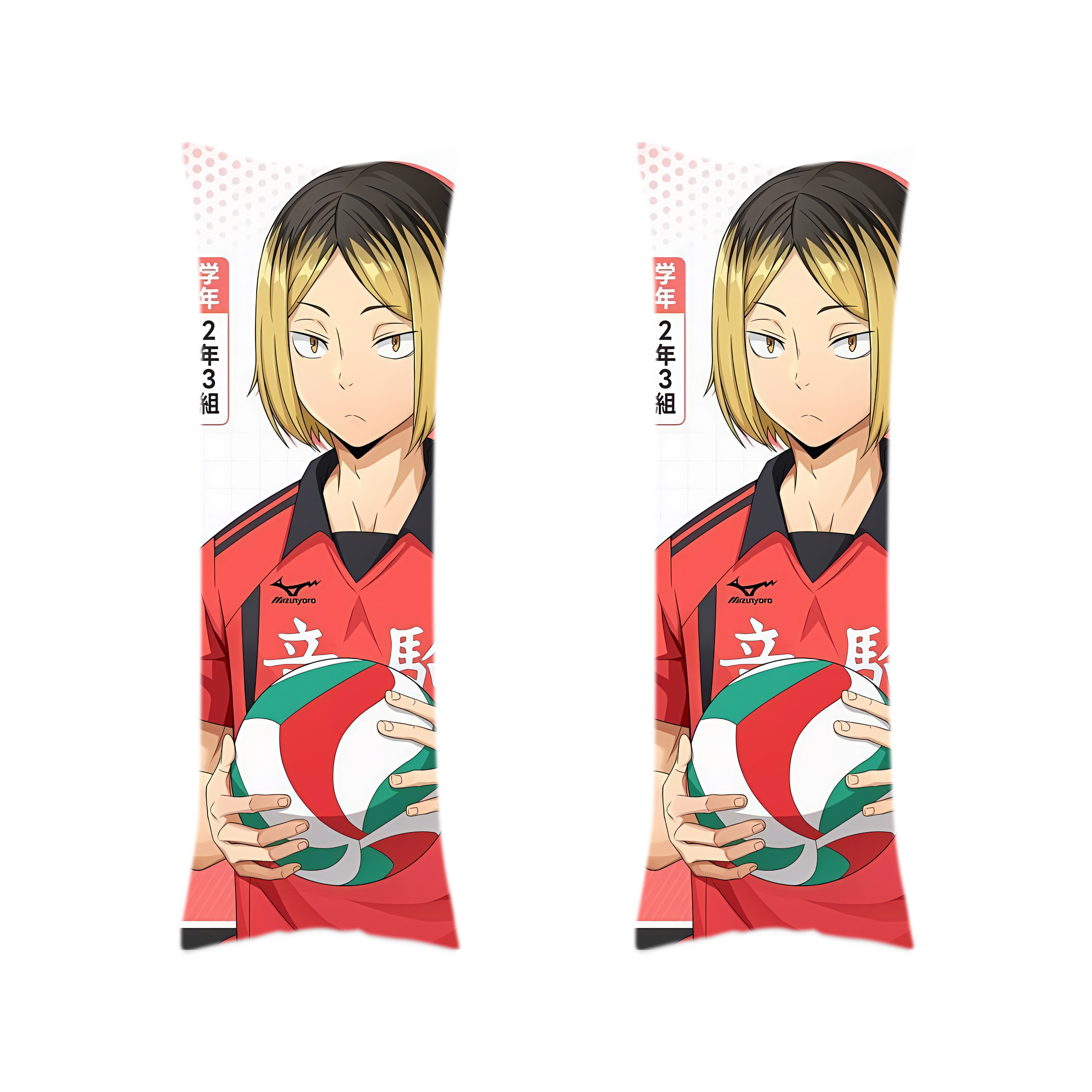 （画像用） ハイキュー!! Haikyu!! ロング抱き枕カバー 両面プリントタイプ（サイズ選択可）