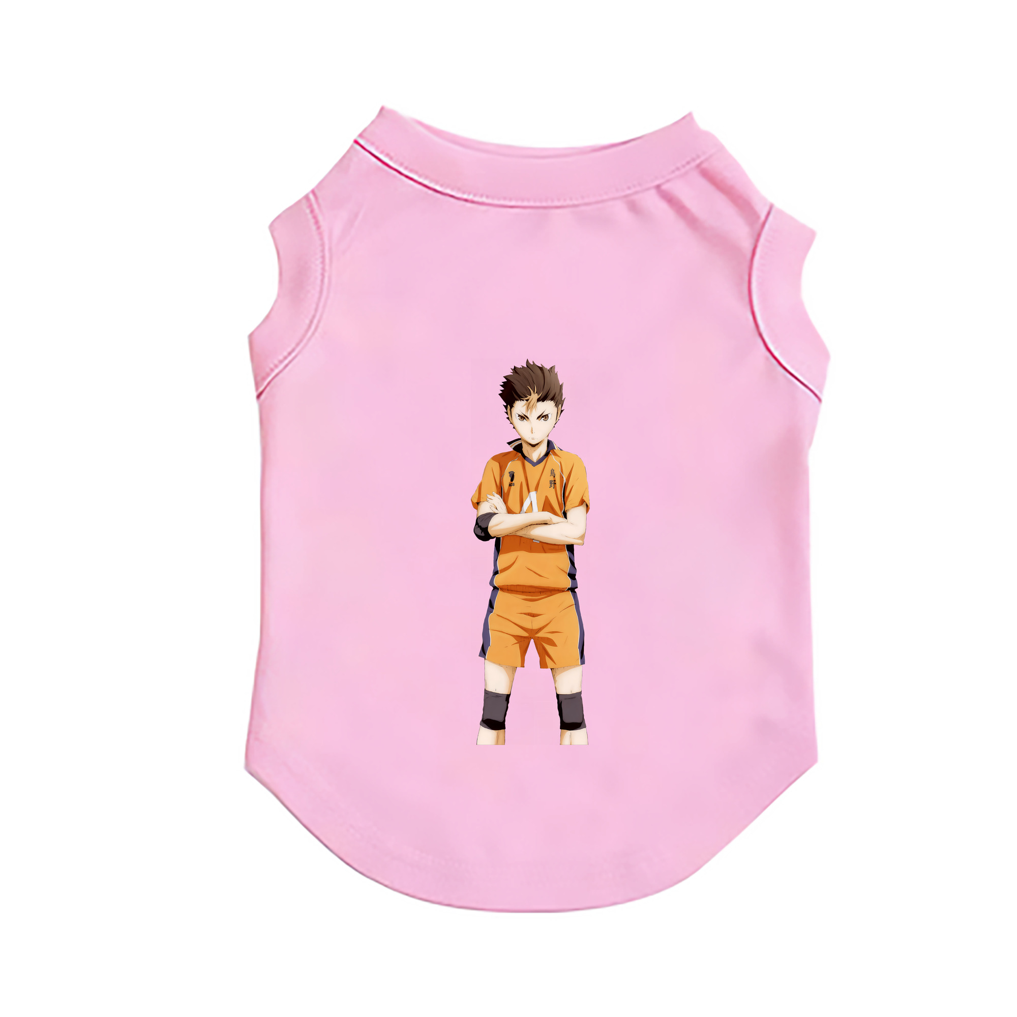 （画像用） ハイキュー!! Haikyu!! ペット用ベスト