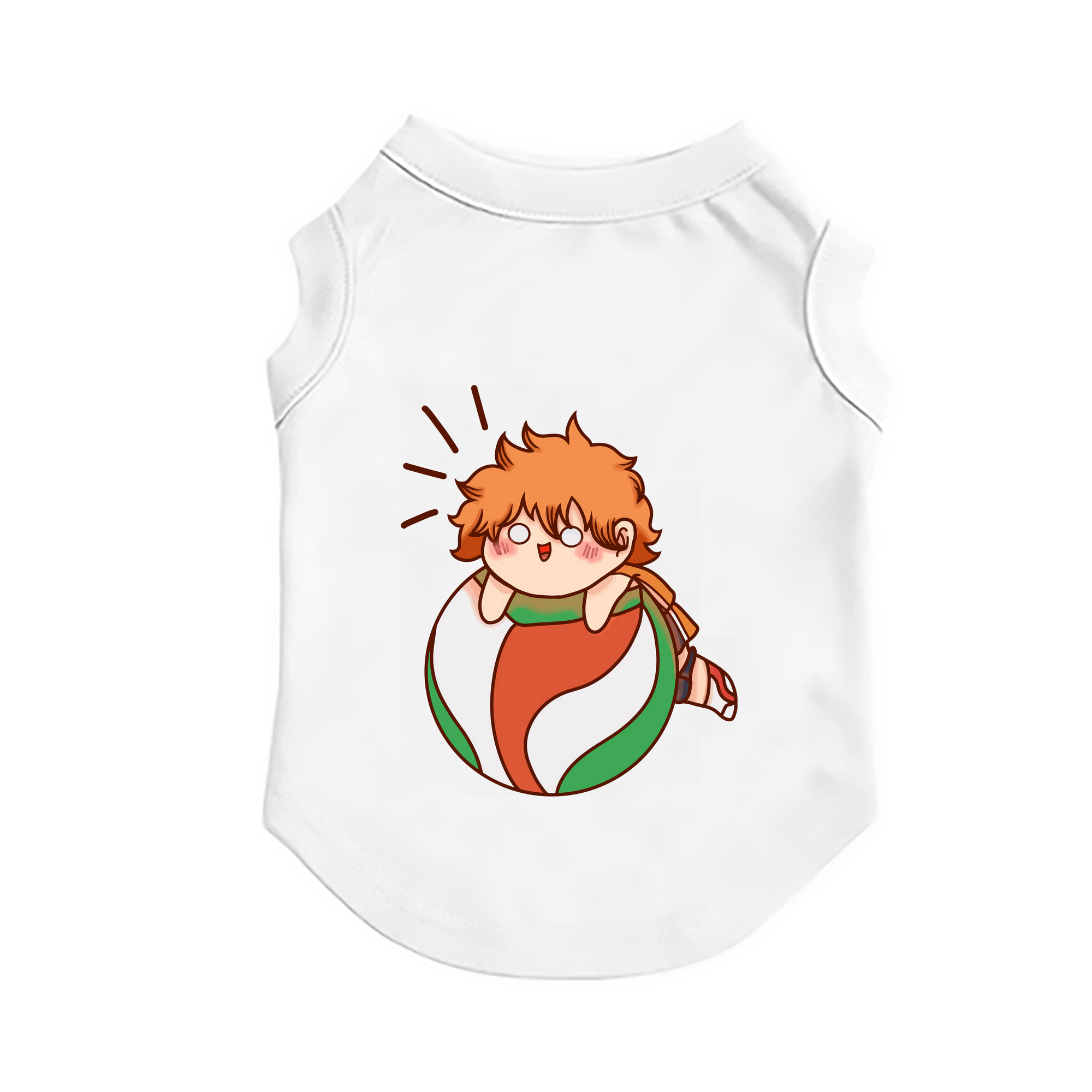 （画像用） ハイキュー!! Haikyu!! ペット用ベスト