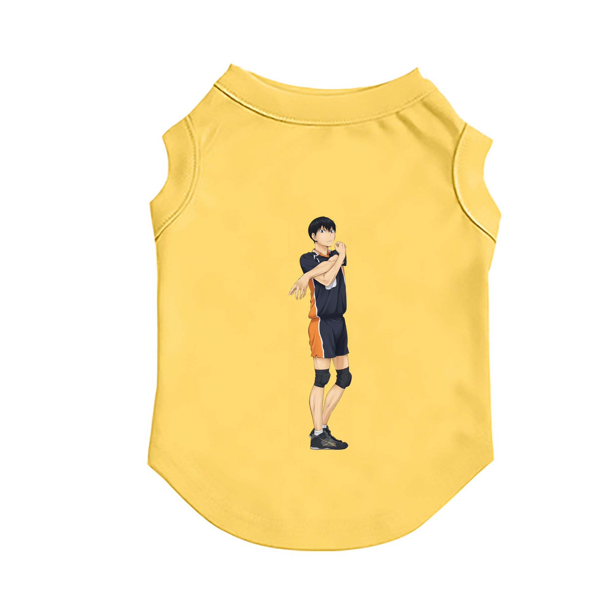 （画像用） ハイキュー!! Haikyu!! ペット用ベスト