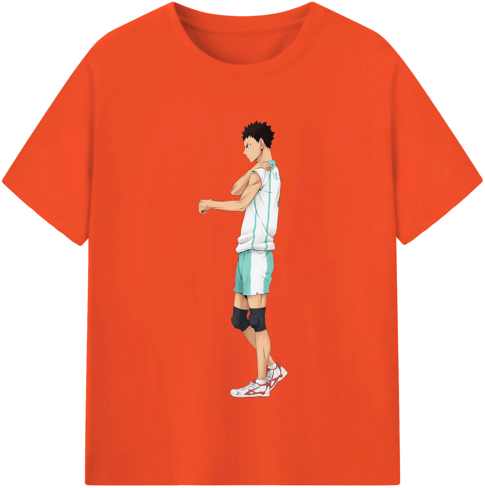 （画像用） ハイキュー!! Haikyu!! 綿100％半袖Tシャツ（フロントプリント）