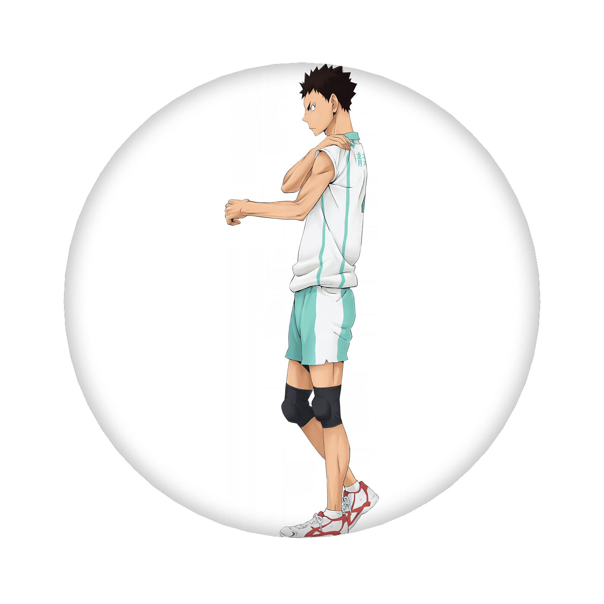 （画像用） ハイキュー!! Haikyu!! 6cm 缶バッジ 複数セット