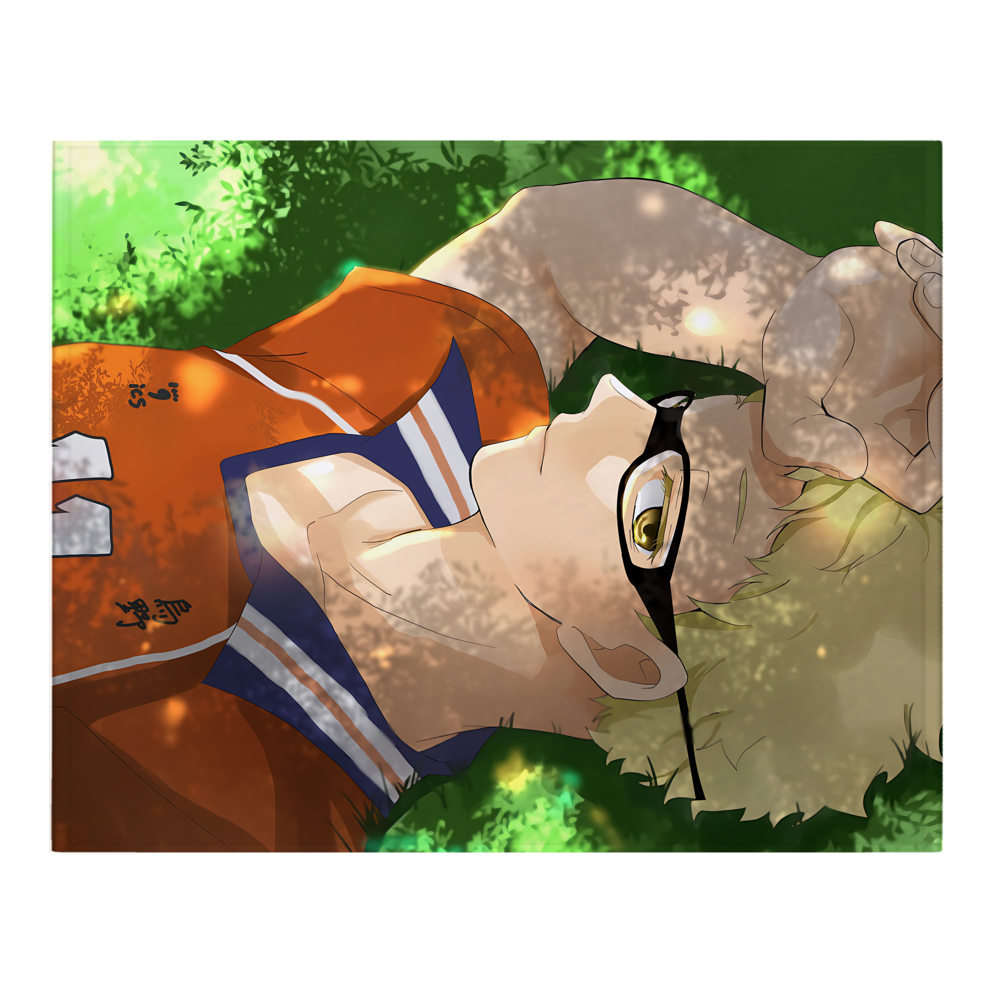 （画像用） ハイキュー!! Haikyu!! フランネルブランケット・多サイズ対応（横型）