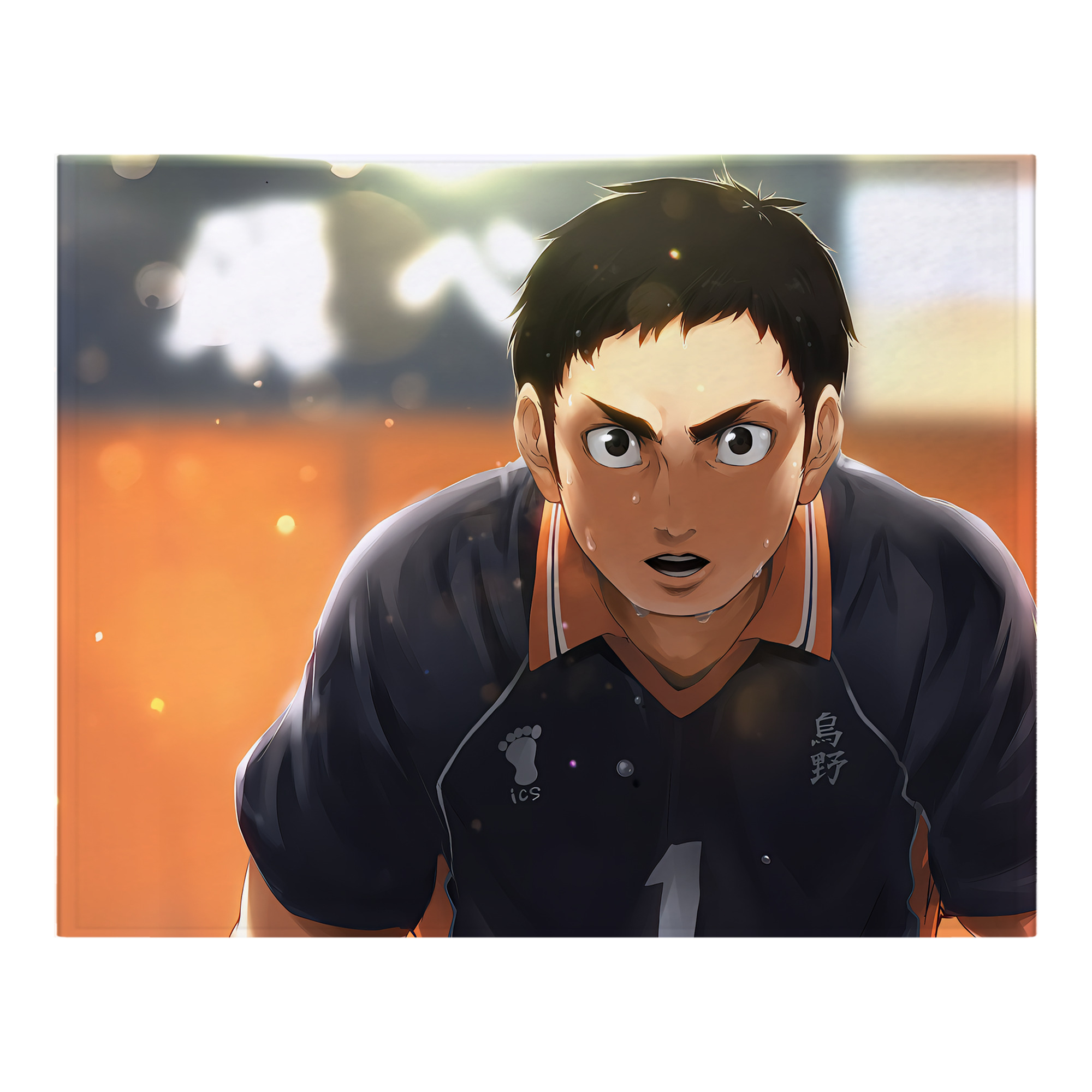 （画像用） ハイキュー!! Haikyu!! フランネルブランケット・多サイズ対応（横型）