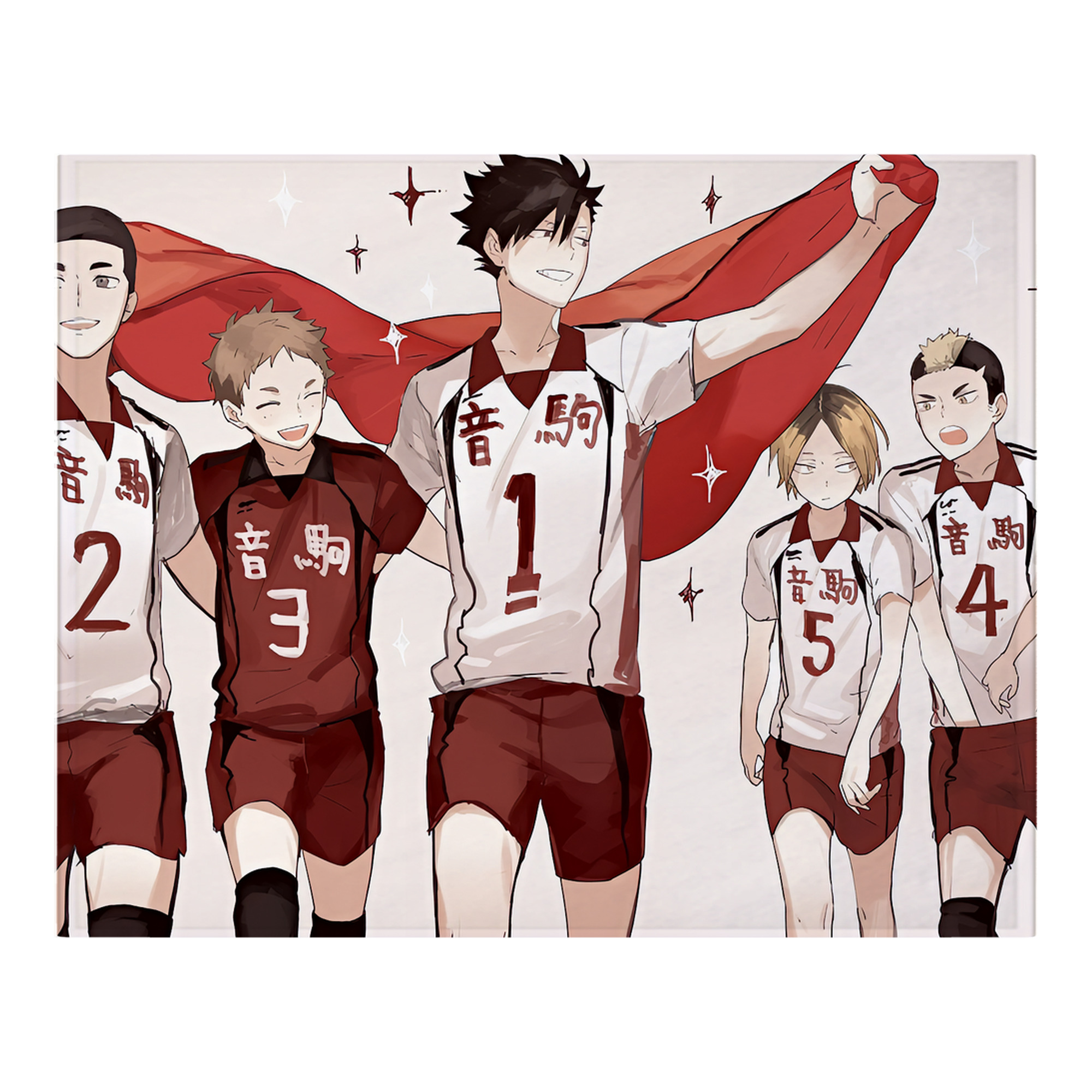 （画像用） ハイキュー!! Haikyu!! フランネルブランケット・多サイズ対応（横型）