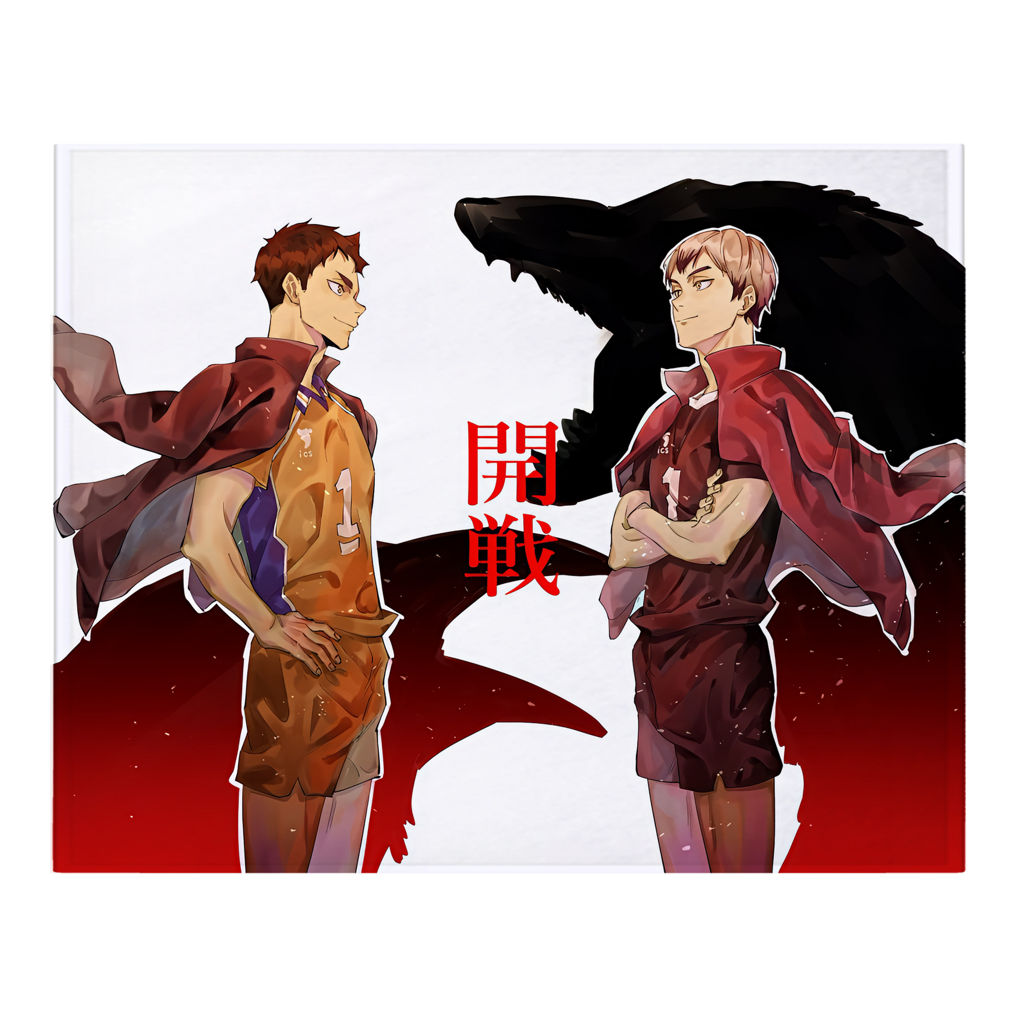 （画像用） ハイキュー!! Haikyu!! フランネルブランケット・多サイズ対応（横型）