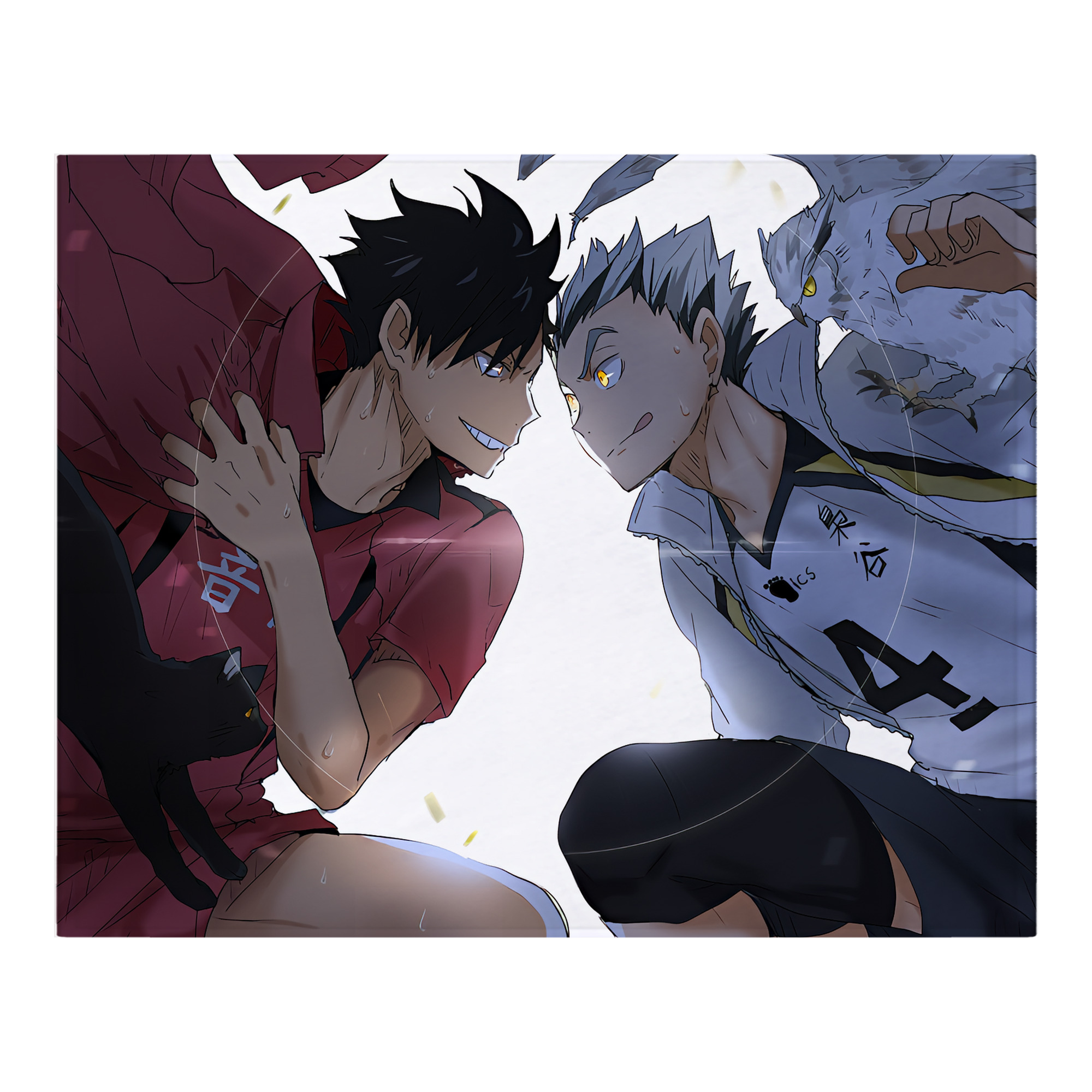 （画像用） ハイキュー!! Haikyu!! フランネルブランケット・多サイズ対応（横型）